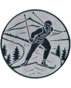 Emblem Langlauf (Nr.134)