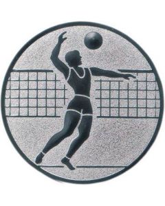 Emblem Volleyball/Herren (Nr.122)